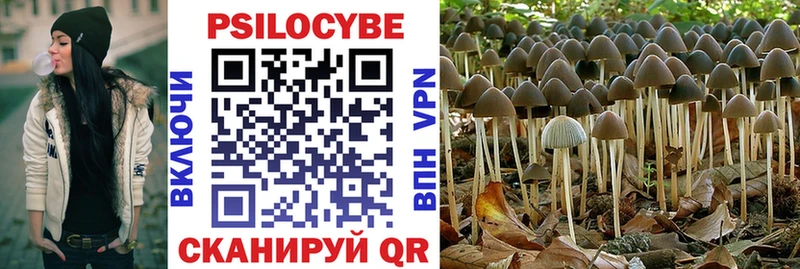 Галлюциногенные грибы Psilocybine cubensis  Усть-Джегута 