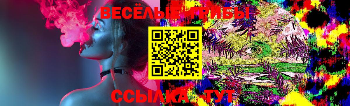 Галлюциногенные грибы GOLDEN TEACHER  где купить наркоту  Псилоцибиновые грибы Cubensis  Усть-Джегута  Вход с VPN 