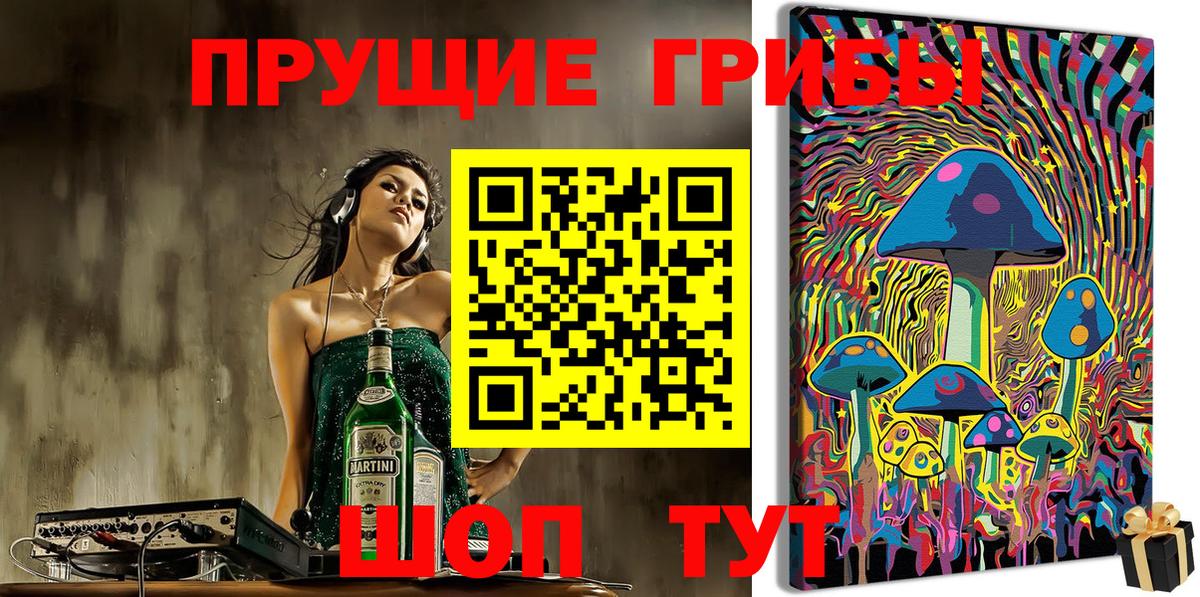 Псилоцибиновые грибы GOLDEN TEACHER Усть-Джегута